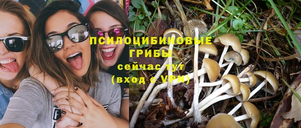 дурь Мегион